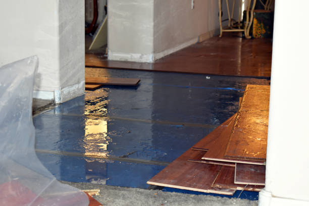 Professional Water Damage Restoration technician working in Sunset Beach, CA